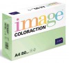 Xero.p.Coloraction Image A480g/str.zelen 382029 Forest