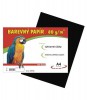 Barevn papr A4/80g/100 list - ern