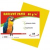 Barevn papr A4/80g/100 list - lut