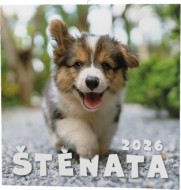 Nástěnný kalendář - Štěňata