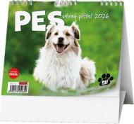 Stolní kalendář - IDEÁL - Pes - věrný přítel /s psími jmény/