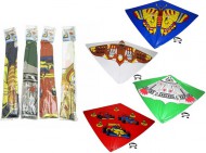 Drak 119180 110x72cm