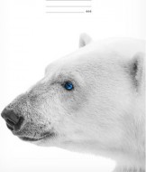 Školní sešit LUX A4 444 7520355