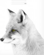 Školní sešit LUX A4 444 7520356