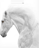 Školní sešit LUX A4 444 7520357