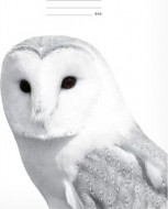 Školní sešit LUX A4 444 7520358