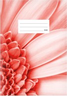 Školní sešit LUX A5 540 7520385