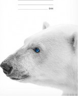 Školní sešit LUX A5 544 medvěd