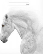 Školní sešit LUX A5 544 kůň