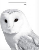 Školní sešit LUX A5 544 linka - sova