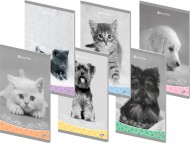 Poznámkový sešit A5,linka,40l, Mláďáta II 