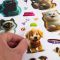 Samolepky Pets Topgal STICKERS 24053