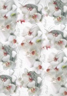 Balc papr 70x100 cm Orchidee - zvtit obrzek