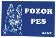 Plastov cedulka 150 x 100 mm zlat mat/ ern - zvtit obrzek