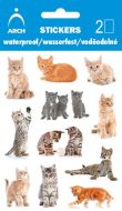 Voděodolné samolepky - kočky 02