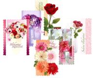 Pohlednice zvířata sr Z040 B UV 1230329