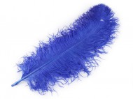 Pštrosí peří délka 60 cm 17 modrá kobaltová, 1 ks - zvětšit obrázek